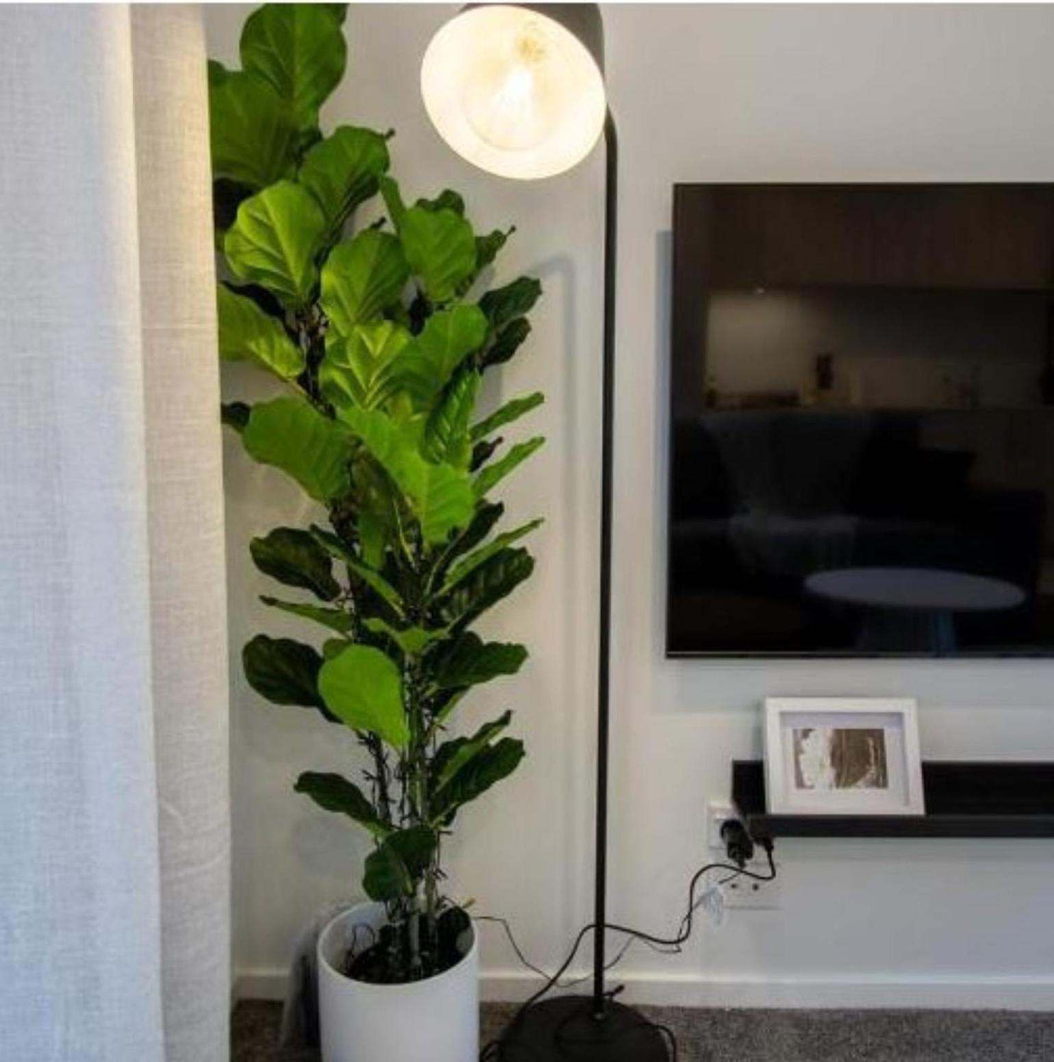 A Touch Of Luxury In Chch Cbd Apartamento Christchurch Exterior foto